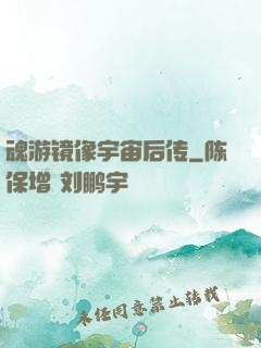 魂游镜像宇宙后传